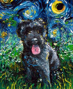 Black Goldendoodle Night