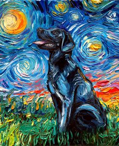 Black Labrador Night