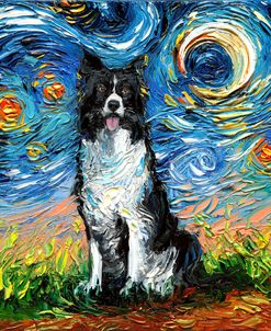 Border Collie Night 2