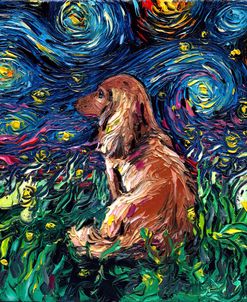 Dachshund Night