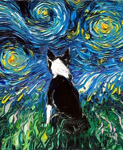 Boston Terrier Night
