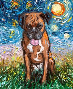 Boxer Night 2