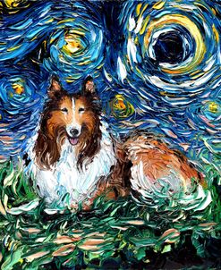Collie Night