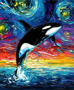 Orca Night