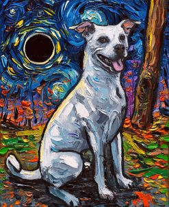Pithuahua Night