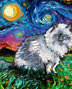 Ragdoll Cat Night
