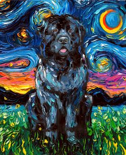 Newfoundland Night
