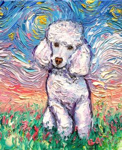 White Poodle Night