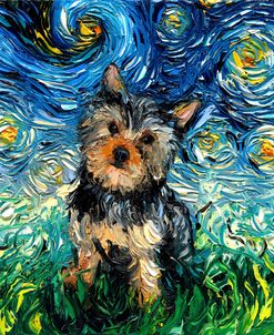 Yorkie Night