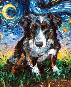 Australian Shepherd Night