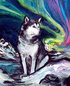 Alaskan Malamute Night