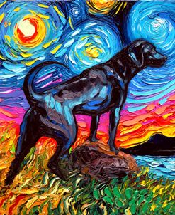 Black Labrador Night 2
