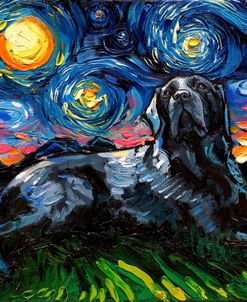 Black Labrador Night 3