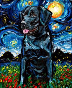 Black Labrador Night 4