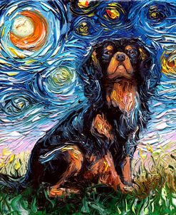 Cavalier King Charles Spaniel