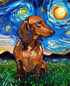 Brown Shorthair Dachshund Night
