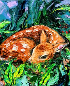 Fawn