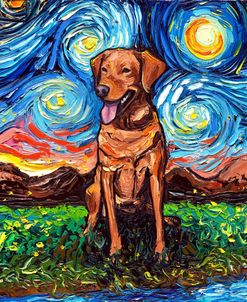 Fox Red Labrador Night