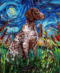 German Shorthair Pointer Night