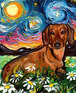 Daisy Dachshund Night