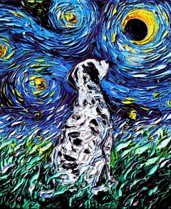 Dalmatian Night
