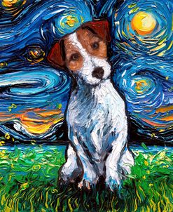Jack Russell Terrier Night