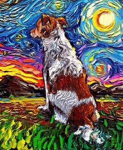 Kooikerhondje Night