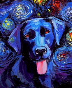 Labrador Night Portrait