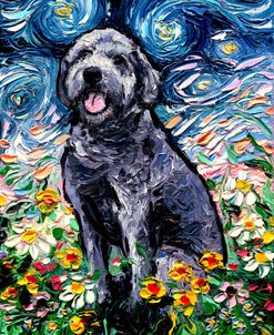 Gray Labradoodle Night