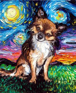 Long Haired Chihuahua Night