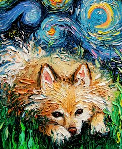 Pomeranian Night