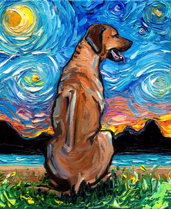Rhodesian Ridgeback Night