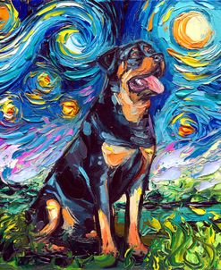 Rottweiler Night