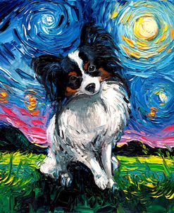 Papillon Night