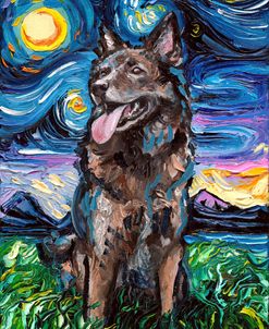 Shepherd Night