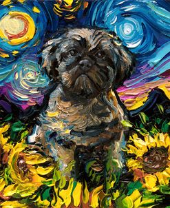 Shih Tzu Night 2