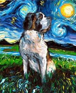 Saint Bernard Night
