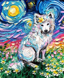 Samoyed Night 2