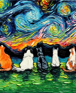 Starry Cats