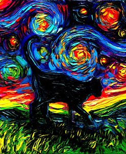 Black Cat Night 4