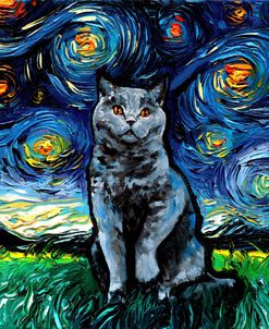 Blue British Shorthair Night