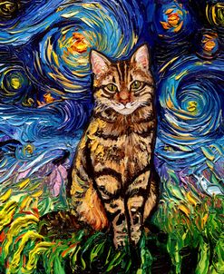 Brown Tabby Night