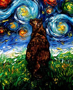 Tortoiseshell Night