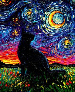 Black Cat Night 1