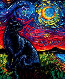 Black Cat Night 2