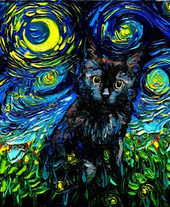 Black Cat Night 3
