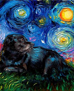 Black Labrador Night 5
