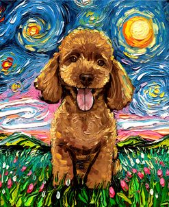 Apricot Poodle Night