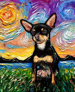 Black and Tan Chihuahua Night 2
