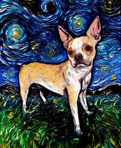 Fawn Boston Terrier Night